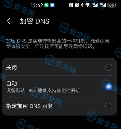 加密DNS