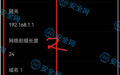 静态IP手机域名1和域名2怎么填写？