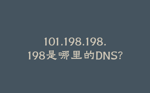 101.198.198.198是哪里的DNS?