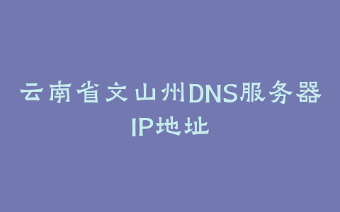 云南省文山州DNS服务器IP地址