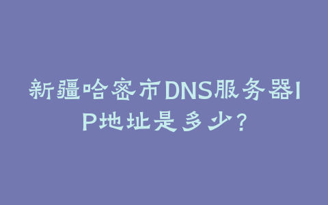 新疆塔城DNS服务器IP地址是多少